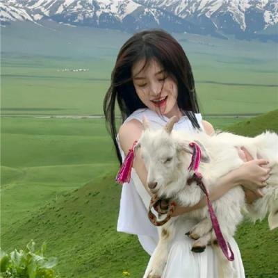 皇上保重粤语封面